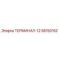 58150152 ТЕРМИНАЛ-12 Epiroc