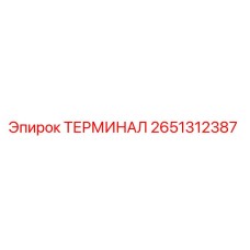 2651312387 ТЕРМИНАЛ Epiroc