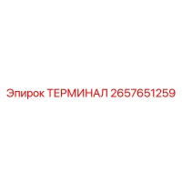 2657651259 ТЕРМИНАЛ Epiroc
