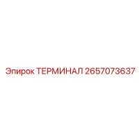 2657073637 ТЕРМИНАЛ Epiroc