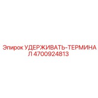 4700924813 УДЕРЖИВАТЬ-ТЕРМИНАЛ | Epiroc