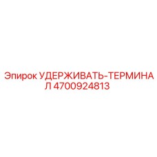 4700924813 УДЕРЖИВАТЬ-ТЕРМИНАЛ | Epiroc