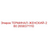 2658371110 ТЕРМИНАЛ-ЖЕНСКИЙ-280 Epiroc