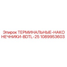 1089953603 ТЕРМИНАЛЬНЫЕ-НАКОНЕЧНИКИ-BDTL-25 Epiroc