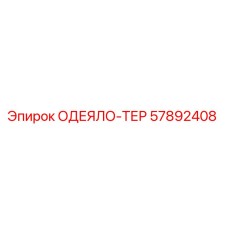 57892408 ОДЕЯЛО-ТЕР Epiroc