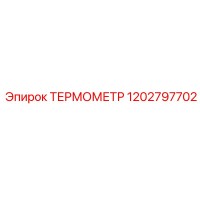 1202797702 ТЕРМОМЕТР Epiroc
