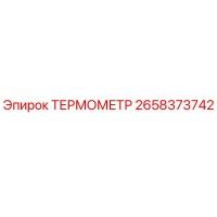 2658373742 ТЕРМОМЕТР Epiroc