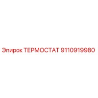 9110919980 ТЕРМОСТАТ Epiroc