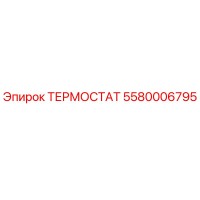 5580006795 ТЕРМОСТАТ Epiroc