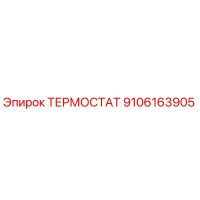 9106163905 Термостат Epiroc