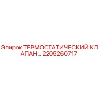 2205260717 Термостатический клапан Epiroc
