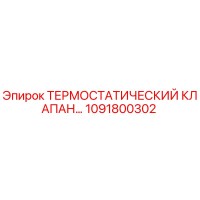 1091800302 ТЕРМОСТАТИЧЕСКИЙ КЛАПАН Epiroc