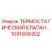 1091800302 ТЕРМОСТАТИЧЕСКИЙ КЛАПАН Epiroc