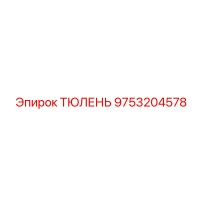 9753204578 ТЮЛЕНЬ Epiroc