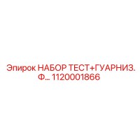 1120001866 НАБОР ТЕСТ+ГУАРНИЗ.Ф… Epiroc