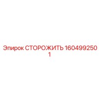 1604992501 СТОРОЖИТЬ Epiroc