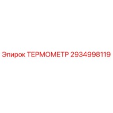2934998119 Thermometer Epiroc