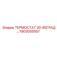 1903055557 ТЕРМОСТАТ 30-85ГРАД Epiroc