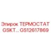 GS12617869 ТЕРМОСТАТ GSKT Epiroc