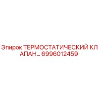6996012459 ТЕРМОСТАТИЧЕСКИЙ КЛАПАН Epiroc
