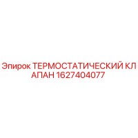 1627404077 Термостатический клапан Epiroc