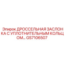 GS7106507 ДРОССЕЛЬНАЯ ЗАСЛОНКА С УПЛОТНИТЕЛЬНЫМ КОЛЬЦОМ Epiroc