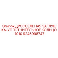 9245998747 ДРОССЕЛЬНАЯ ЗАГЛУШКА-УПЛОТНИТЕЛЬНОЕ КОЛЬЦО-1010 Epiroc