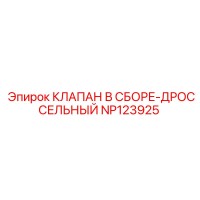 NP123925 КЛАПАН В СБОРЕ-ДРОССЕЛЬНЫЙ Epiroc