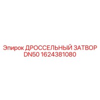 1624381080 ДРОССЕЛЬНЫЙ ЗАТВОР DN50 Epiroc