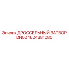 1624381080 ДРОССЕЛЬНЫЙ ЗАТВОР DN50 Epiroc