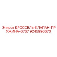 9245996670 ДРОССЕЛЬ-КЛАПАН-ПРУЖИНА-6767 Epiroc