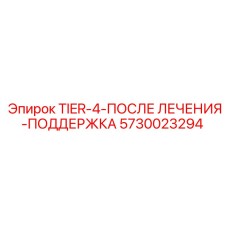5730023294 TIER-4-ПОСЛЕ ЛЕЧЕНИЯ-ПОДДЕРЖКА Epiroc