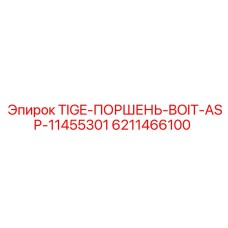6211466100 TIGE-ПОРШЕНЬ-BOIT-ASP-11455301 Epiroc