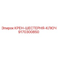 9170300850 КРЕН-ШЕСТЕРНЯ-КЛЮЧ Epiroc