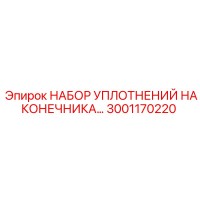 3001170220 НАБОР УПЛОТНЕНИЙ НАКОНЕЧНИКА Epiroc