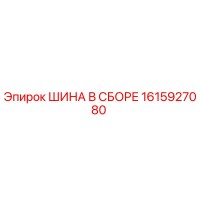 1615927080 ШИНА В СБОРЕ Эпирок