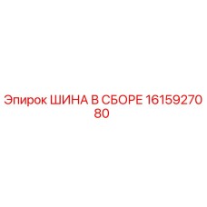 1615927080 ШИНА В СБОРЕ Эпирок