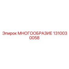 1310030058 МНОГООБРАЗИЕ Epiroc
