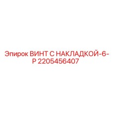2205456407 ВИНТ С НАКЛАДКОЙ-6-P Epiroc