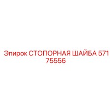 57175556 СТОПОРНАЯ ШАЙБА Epiroc