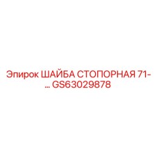 Шайба стопорная из титана GS63029878 для техники Epiroc