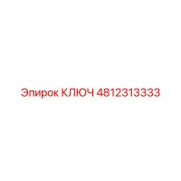 4812313333 КЛЮЧ Epiroc