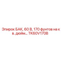 TK60V170B БАК, 60 В, 170 фунтов на кв. дюйм Epiroc