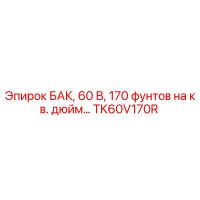 TK60V170R БАК, 60 В, 170 фунтов на кв. дюйм Epiroc