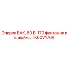 Фото бака TK60V170R Epiroc, емкость 60 В, давление 170 фунтов на кв. дюйм