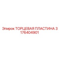 3176404901 ТОРЦЕВАЯ ПЛАСТИНА Epiroc