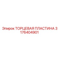 3176404901 ТОРЦЕВАЯ ПЛАСТИНА Epiroc
