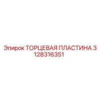 3128316351 ТОРЦЕВАЯ ПЛАСТИНА Epiroc