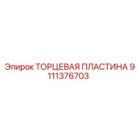 9111376703 ТОРЦЕВАЯ ПЛАСТИНА Epiroc