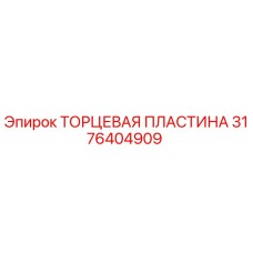 3176404909 ТОРЦЕВАЯ ПЛАСТИНА Epiroc
